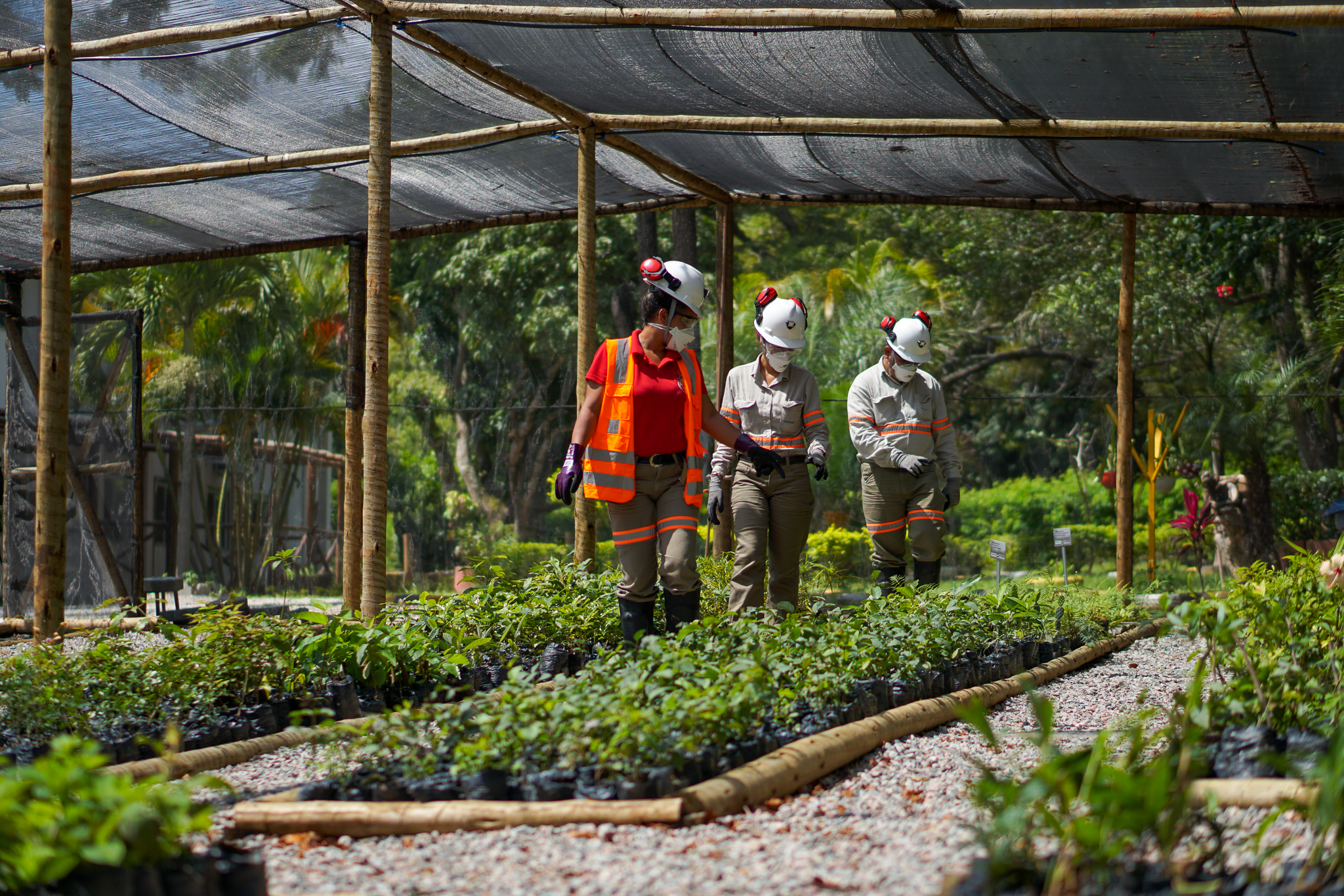 Ações ESG da JMC tornam-se referência nacional com recomendação da ABNT