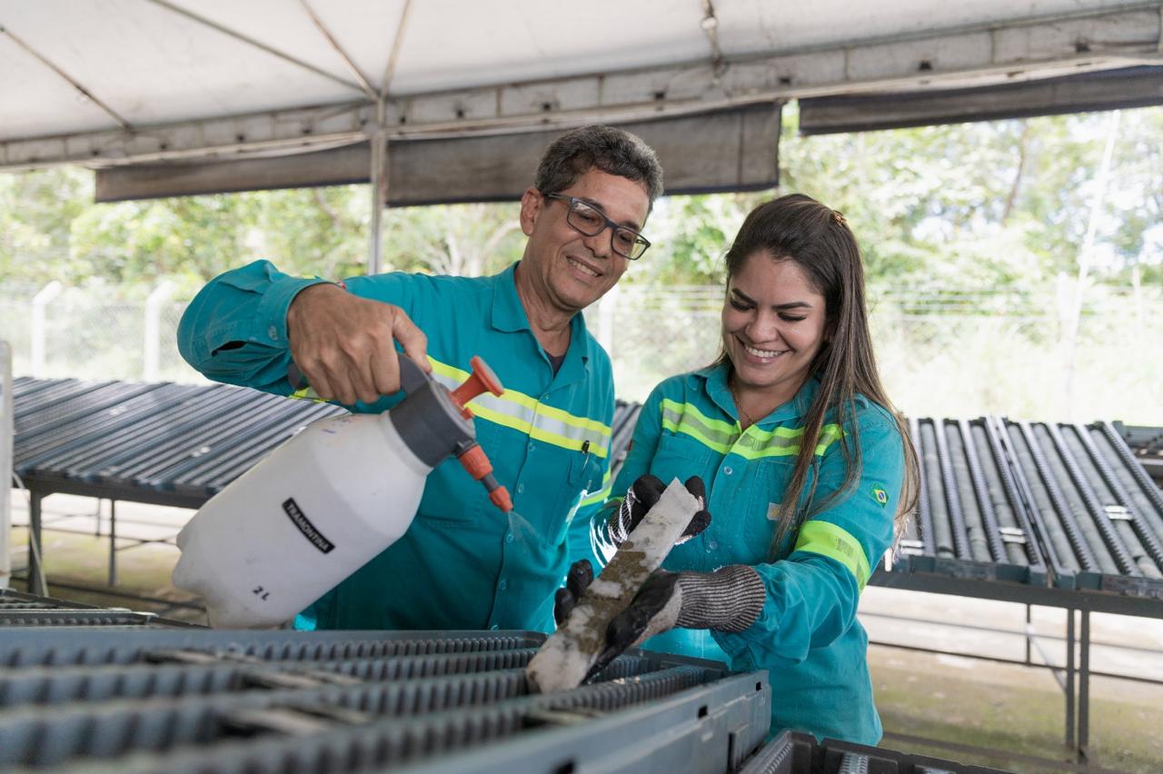 SINDIMIBA celebra os dias da Mineração e do(a) Minerador(a) com destaque para avanços e compromisso com o desenvolvimento sustentável